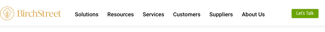 Birch Street Systems LLC